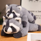Raccoon