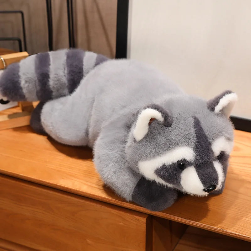 Raccoon