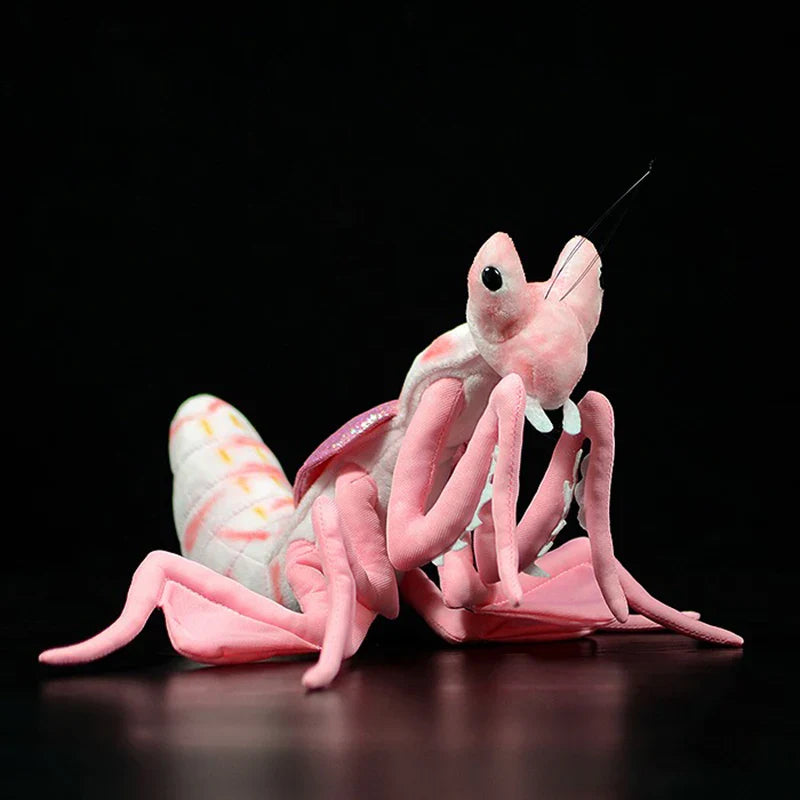 Fluffy Insects Collection