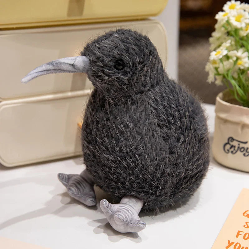 Kiwi Bird