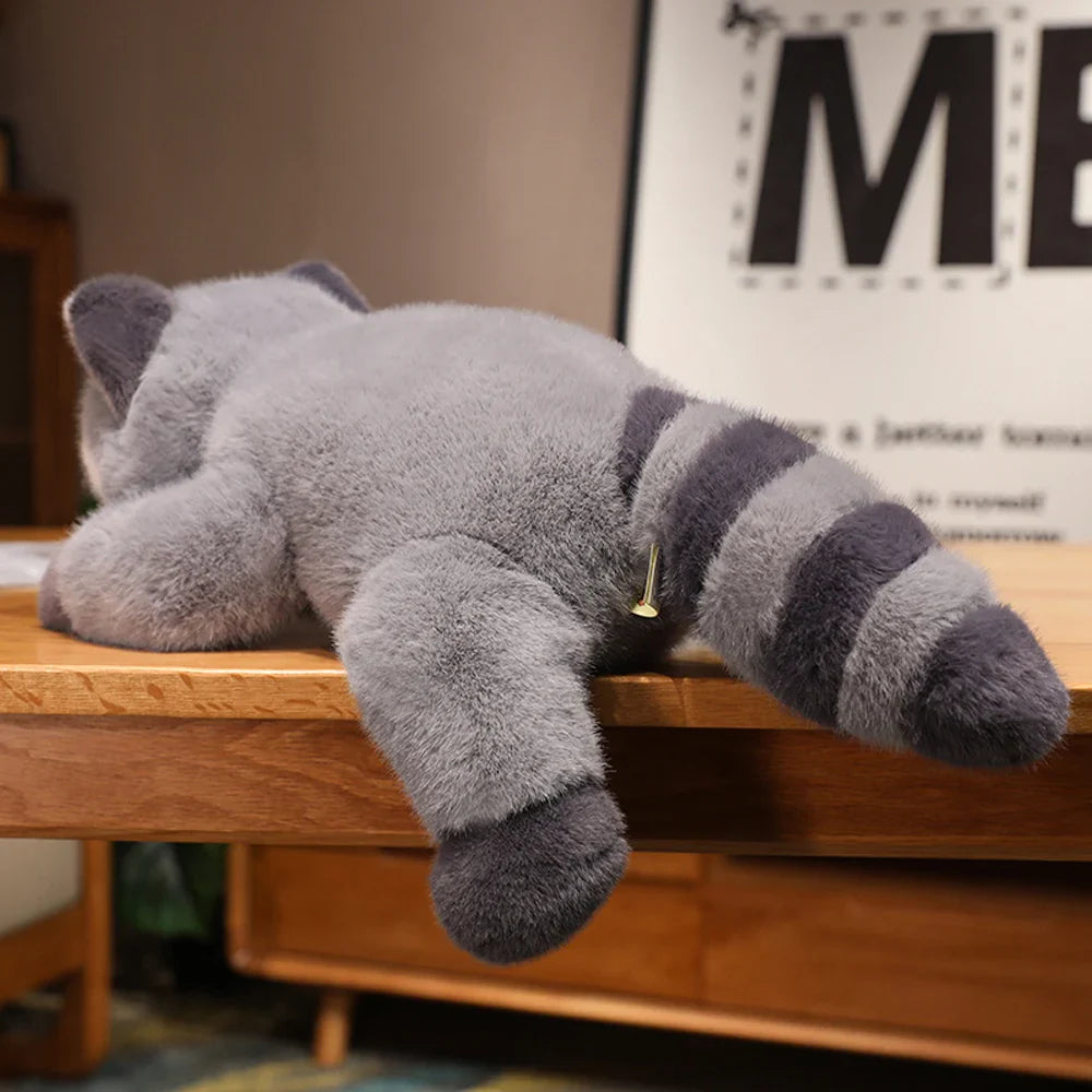 Raccoon