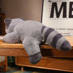 Raccoon