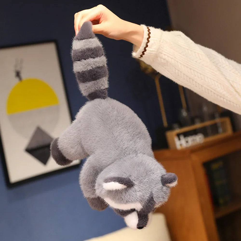 Raccoon