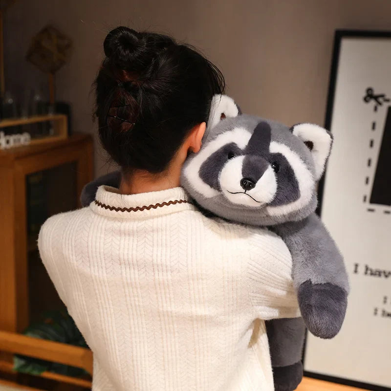 Raccoon