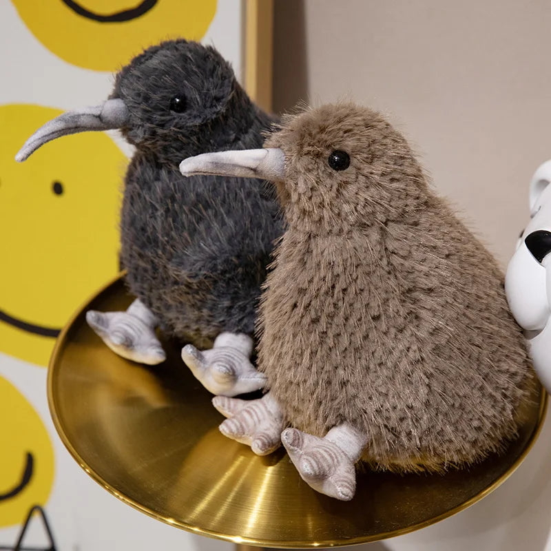 Kiwi Bird