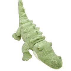 Crocodile